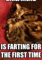 A Fart There is a wide array of related to the subject of a fart, ranging from the comical to the downright disgusting. The