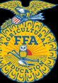 Ffa "Must Listen" - This phrase immediately grabs your attention, inviting you to immerse yourself in the world of FFA. As