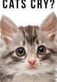 Cat Cry The of a crying cat can stir up a range of emotions within anyone who hears it. It is a high-pitched, mournful 