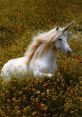 Unicorns The of Pink Fluffy Unicorns transport you to a magical realm filled with whimsy and wonder. The first you hear is