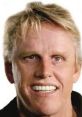 Gary Busey with a bright smile and tousled blonde hair, known for his dynamic roles in Hollywood films.