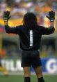 Higuita In the world of soccer, the name Higuita is synonymous with skill, flair, and innovation. As a legendary Colombian