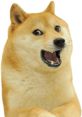 Laughing Dog Meme The of a dog laughing meme from TikTok is like to the ears. It's a playful and infectious that brings a