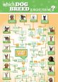 What The Dog If you're ever curious about the activities of a canine companion, you might find yourself asking, "What the