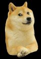 Doge If you're a fan of the Doge meme, you must be familiar with the iconic "Screech doge" that accompanies the cute