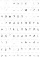 Yntkts The curious of "YNTKTS, YNTKTS" echo through the air, capturing the attention of all who hear them. The repeated