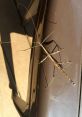 Stick Bug Stick bugs are fascinating creatures that are known for their ability to camouflage themselves and blend in with