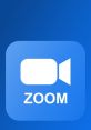 Zoom If you've ever been on a Zoom call, you'll know that there are a variety of that are associated with this popular