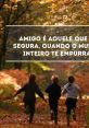 Como É Amigo In the realm of friendship, the of trust, loyalty, and camaraderie re like a symphony of emotions. "Como é