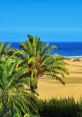 Canaria Nestled in the heart of the Canarian archipelago, the island of Canaria is known for its stunning landscapes,