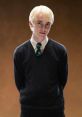 Draco Draco Malfoy, the infamous Slytherin from the Harry Potter series, is undoubtedly a character that evokes a variety of