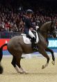 Dressage rider elegantly guiding a horse in front of an engaged audience, showcasing equestrian skills at a competition.