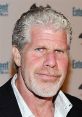 Ron Perlman at an event, showcasing his signature look and distinctive hairstyle, capturing his rugged charm and charisma.