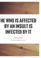 Insult The art of insult is a delicate craft that some people have mastered, as evidenced by the of insults ranging from