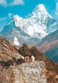 Nepal Nepal is a country known for its rich culture, stunning landscapes, and warm hospitality. The of laughter can often