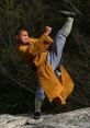 Shaolin In the world of Shaolin, the of the Shaolin Soccer Theme resonates deeply. As the begins to play, a sense of power