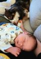 Sweet sleeping baby wrapped in cozy attire, cuddling with a furry friend on a comfy couch, showcasing peaceful moments.