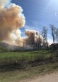 Thick smoke billowing from a wildfire against a bright blue sky, with charred trees and green fields in the foreground.