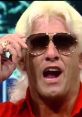 Rick Flair, wearing sunglasses, passionately speaking with excitement, embodies the essence of wrestling charisma.