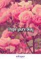 Okay You The that resonate within the phrase "Okay You" can carry a range of emotions and contexts. From the firm and