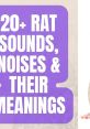 Rat Noise Rats are known for their distinct noises that they make, from gentle coos to aggressive barks. One of the most