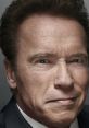 Arnold Schwarzenegger, renowned actor and former governor, showcasing a confident expression in a formal setting.