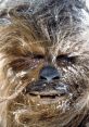 Chewbacca with snowy fur, showcasing his iconic features and friendly expression from the Star Wars universe.