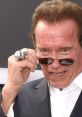 Arnold Schwarzenegger adjusts his sunglasses, showcasing a stylish look at an event, reflecting his iconic celebrity status.