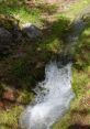 Clear water flows over rocks and grass in a tranquil natural setting, showcasing the beauty of a serene stream.