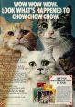 Purina Cat Chow Advert Purina Cat Chow Advert 