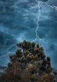 Thunderstorm The of a Thunderstorm can be both awe-inspiring and terrifying. The deep rumble of thunder echoes through