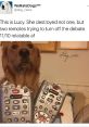 Golden retriever named Lucy with chewed remotes, humorously illustrating relatable pet antics and meme culture.