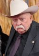 Wilford Brimley in a cowboy hat, exuding charm and wisdom, known for his memorable roles in film and television.