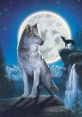 Lobos The of "lobos" is a haunting and primal one, evoking images of wild and untamed creatures howling in the night. It is