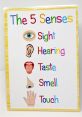 Senses When we think about our senses, we often focus on sight, taste, touch, and smell. However, is also a crucial part of