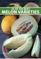 Melon The first , "Meloni errore mio," echoes through the room with a sense of regret and longing. The Italian words carry a