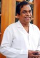 Brahmanandam Brahmanandam is a legendary figure in the world of Indian cinema, known for his impeccable comic timing and