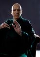 Voldemort The first you hear is a chilling chant of "Kill him! Voldemort, Voldemort!" The urgency in the voices sends