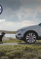 VW advert showcasing a gray SUV parked by a scenic landscape, featuring an inquisitive goat nearby.