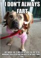 Fart al farts are perhaps one of the most intriguing that the human body can produce. With a variety of tones, pitches,