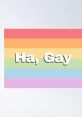 Ha Gay The "Ha Gay = MattHQ" resonates loudly through the room, eliciting a range of reactions from those who hear it. Some