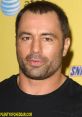 Rogan If you're a fan of the internet's favorite podcaster, Joe Rogan, then you're probably familiar with some of his