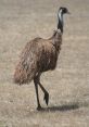 Emu Soundboard