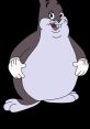 Chungus The of "Nice" rings out, clear and crisp, cutting through the air like a sharp knife. It is a of approval, of