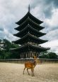 Nara The first that fills the air is the haunting yet mesmerizing "Nara Theme". As it plays, one can't help but feel a