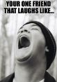 Laughing Meme The associated with the Laughing Meme encompass a wide range of expressions that evoke joy, amusement, and