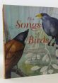 Song Of Birds The melodic of birdsong fill the air, creating a symphony of nature that is both soothing and invigorating.