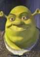 Shrek smiling joyfully, embodying his lovable ogre persona from the iconic animated movie series.