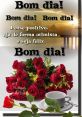 Bom Diaaa The familiar of "Bom diaaaa" echo through the air, a cheerful greeting that brings a smile to the faces of