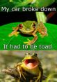 Meme Frog If you're a fan of internet memes, there's a good chance you've come across the Meme Frog at some point. This